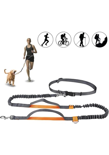 Gri Mavi Tarzı Köpek Tasma Eller Serbest Tasma Pet Koşu Yürüyüş Köpekler Koşum Yaka Koşu Kurşun Ayarlanabilir Bel Tasmalar Çekiş Kemer Halat (Yurt Dışından) fiyatları