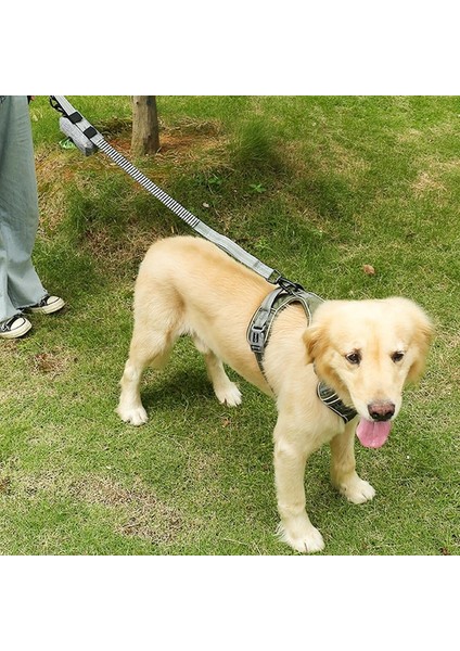 Sarı Köpek Tasma Stili Tek Boyut Köpek Koşum Yaka Yelek Tarzı Köpek Tasma Göğüs Kemeri Yeni Küçük Orta Büyük Köpek Aksesuarları Yelek Yürüyüş Pet Ürünleri Koşum (Yurt Dışından) modelleri