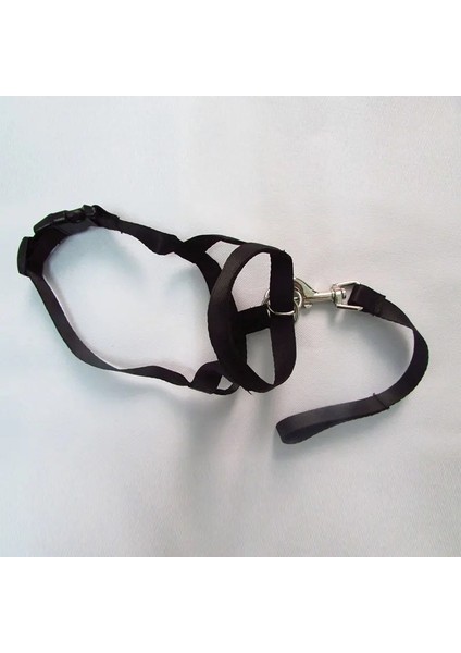 Siyah Stil Xl Beden Ayarlanabilir Koşum Nazik Lider Kemer Eğitim Tasma Lideri Köpek Yaka Lideri Kemer Koşum Namlu Köpek Yular No Pull Bite Askıları (Yurt Dışından)