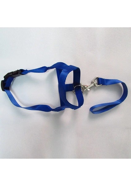 Siyah Stil Xl Beden Ayarlanabilir Koşum Nazik Lider Kemer Eğitim Tasma Lideri Köpek Yaka Lideri Kemer Koşum Namlu Köpek Yular No Pull Bite Askıları (Yurt Dışından) fırsatları