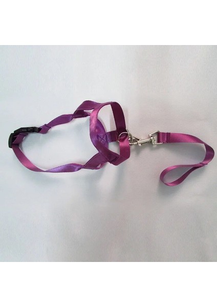 Siyah Stil Xl Beden Ayarlanabilir Koşum Nazik Lider Kemer Eğitim Tasma Lideri Köpek Yaka Lideri Kemer Koşum Namlu Köpek Yular No Pull Bite Askıları (Yurt Dışından) indirimleri