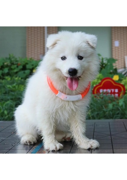 Mavi Stil LED USB Köpek Tasması Pet Köpek Tasması Gece Köpek Tasmaları Parlayan Aydınlık Şarj Edilebilir LED Gece Güvenliği Yanıp Sönen Glow (Yurt Dışından)