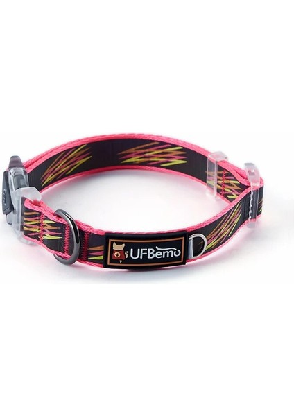 Gül Kırmızısı Takım Elbise Tarzı L Beden Ufbemo LED Köpek Yaka Yansıtıcı Şerit Tasma Kemeri ile Işıklandırın Ayarlanabilir Aydınlık Güvenli Pet Aksesuar Ürünü Dachshund (Yurt Dışından) fırsatları
