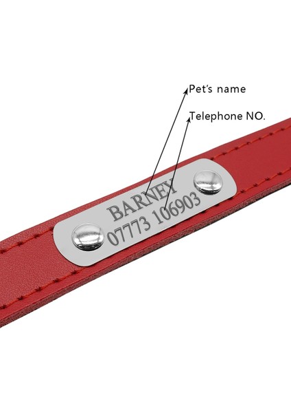 Pembe Tarzı M Beden 4 Renk Kişiselleştirilmiş Oyulmuş Köpek Yaka Tasma Seti Özelleştirilmiş Isim Telefon Metal Toka Kedi Yavrusu Pet Kımlık Yaka Xs S M (Yurt Dışından) indirimleri