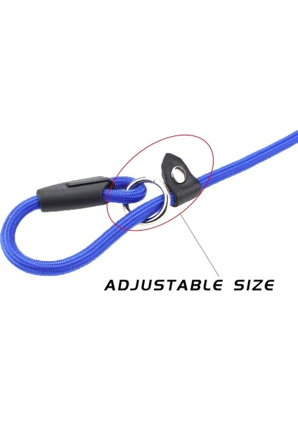 Mavi Stil S 0.6cm 140 cm Ayarlanabilir Pet Tasma Halat Açık Eğitim Köpek Tasmalar ve Yaka Seti Naylon Kurşun Kemer Küçük Büyük Köpekler Için Ürün Şeyler (Yurt Dışından) indirimleri