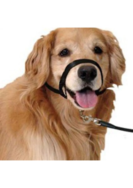 Siyah Stil M Beden Ayarlanabilir Koşum Nazik Lider Kemer Eğitim Tasma Lideri Köpek Yaka Lideri Kemer Koşum Namlu Köpek Yular No Pull Bite Askıları (Yurt Dışından) modelleri