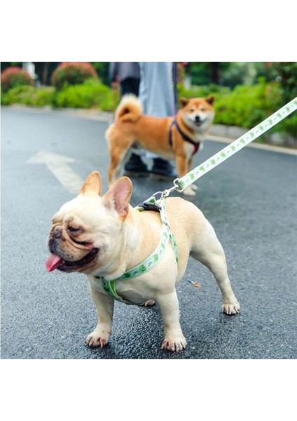 Dinozor Tarzı L Beden Küçük ve Orta Boy Köpek Kedi Koşum Tasması Ayarlanabilir Yelek Yaka Köpek Yavrusu Açık Yürüyüş Chihuahua Terier Schnauzer (Yurt Dışından) fiyatları