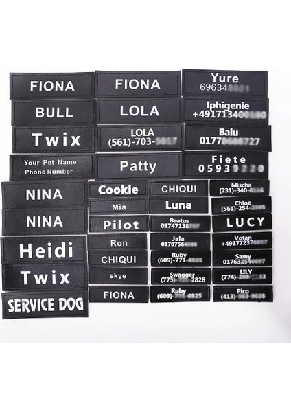 16X5CM Stili Kişiselleştirilmiş Köpek Adı Etiketi Köpek Yama Etiketleri Özel Köpek Koşum Yaka Etiket Etiket Yaka Köpek Koşum Velcro Aksesuarları (Yurt Dışından) fiyatları
