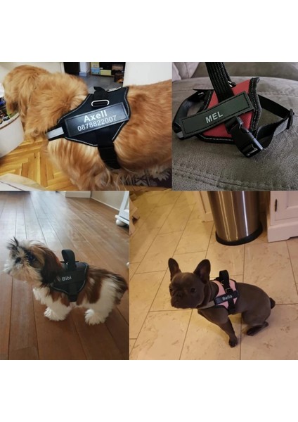 16X5CM Stili Kişiselleştirilmiş Köpek Adı Etiketi Köpek Yama Etiketleri Özel Köpek Koşum Yaka Etiket Etiket Yaka Köpek Koşum Velcro Aksesuarları (Yurt Dışından) modelleri