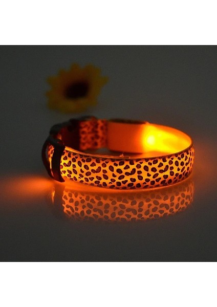 Sarı Stil M Beden Leopar LED Köpek Tasması Aydınlık Ayarlanabilir Parlayan Köpekler Için Yaka Pet Gece Güvenliği Naylon Yaka Aydınlık LED Parlak Köpek Tasması (Yurt Dışından)
