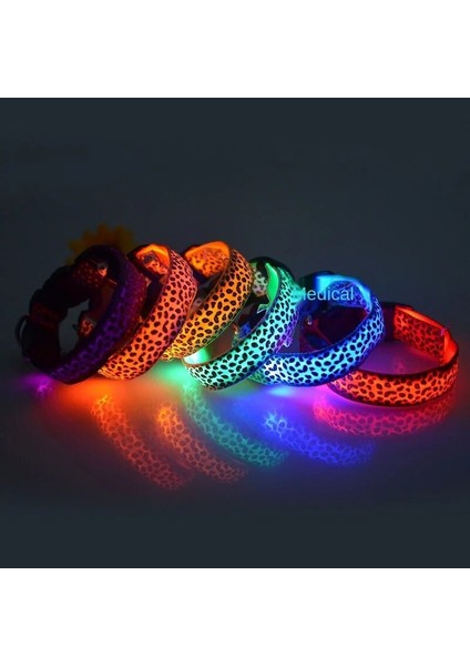 Sarı Stil M Beden Leopar LED Köpek Tasması Aydınlık Ayarlanabilir Parlayan Köpekler Için Yaka Pet Gece Güvenliği Naylon Yaka Aydınlık LED Parlak Köpek Tasması (Yurt Dışından) fırsatları