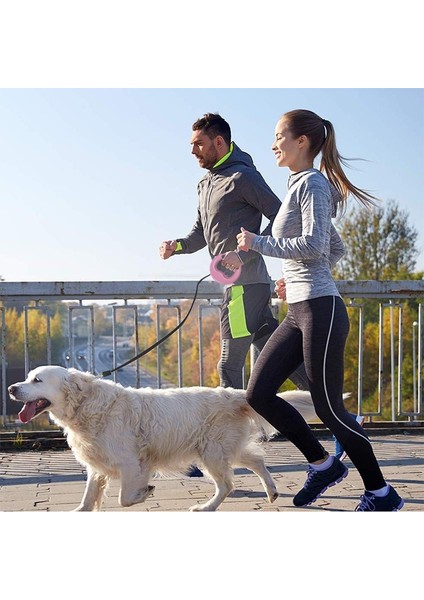 3m Mavi Stil Işıklar Abs Yüksek Dereceli Kararlı Dayanıklı 3 Metre Otomatik Geri Çekilebilir Köpek Çekiş Halatı Tasmalar Pet Talepleri (Yurt Dışından) indirimleri