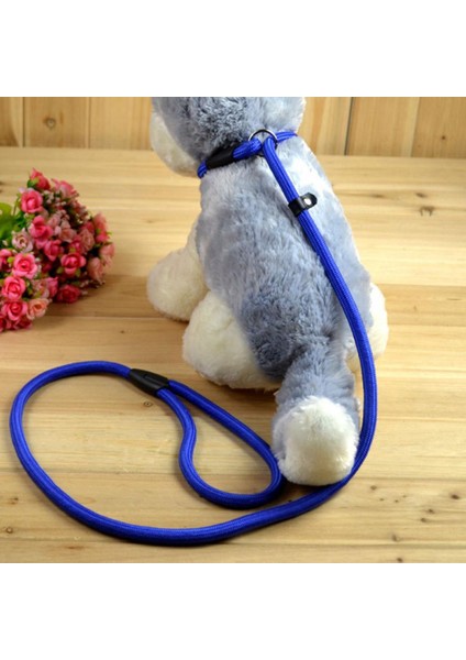 Mavi Bir Stil 1 Adet Pro Pet Köpek Naylon Halat Eğitim Tasma Koşu Yürüyüşü Tren Büyük Küçük Kedi Evcil Hayvanlar Için Kayma Kurşun Kayış Ayarlanabilir Çekiş Yaka (Yurt Dışından) indirimleri