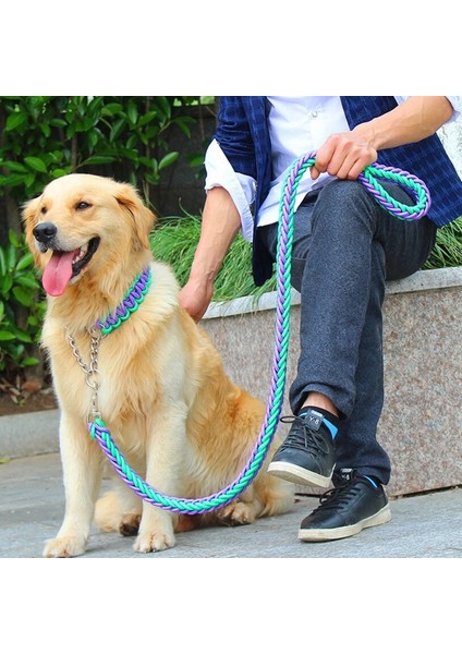 Sarı Pembe Tarzı M 30 Ila 40 cm Çift Telli Halat Büyük Köpek Tasmalar Metal P Zinciri Toka Kontrast Renkli Pet Çekiş Halatı Yaka Seti Köknar Uzunluğu (Yurt Dışından)