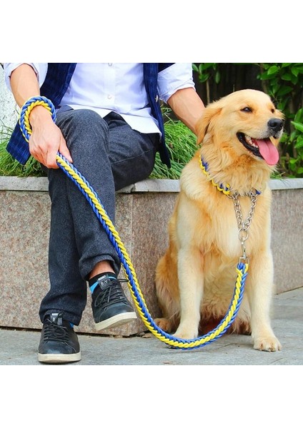 Sarı Pembe Tarzı M 30 Ila 40 cm Çift Telli Halat Büyük Köpek Tasmalar Metal P Zinciri Toka Kontrast Renkli Pet Çekiş Halatı Yaka Seti Köknar Uzunluğu (Yurt Dışından)