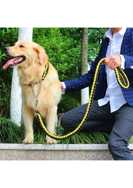 Sarı Pembe Tarzı M 30 Ila 40 cm Çift Telli Halat Büyük Köpek Tasmalar Metal P Zinciri Toka Kontrast Renkli Pet Çekiş Halatı Yaka Seti Köknar Uzunluğu (Yurt Dışından)