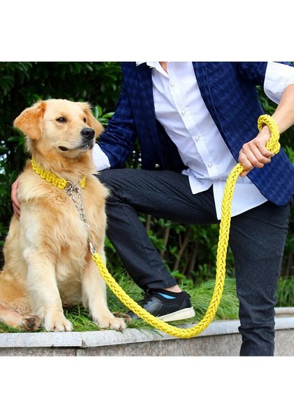 Sarı Pembe Tarzı M 30 Ila 40 cm Çift Telli Halat Büyük Köpek Tasmalar Metal P Zinciri Toka Kontrast Renkli Pet Çekiş Halatı Yaka Seti Köknar Uzunluğu (Yurt Dışından)