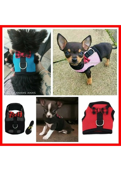 Koyu Gri Tarzı Xs Beden Xxxs Xxs Xs Yavru Köpek Teacuuahua Koşum Kurşun Örgü Yelek Tiny Kitty Kedi Yorkie Malta Tavşan Yavru Kedi Koşum Yelek (Yurt Dışından) fiyatları