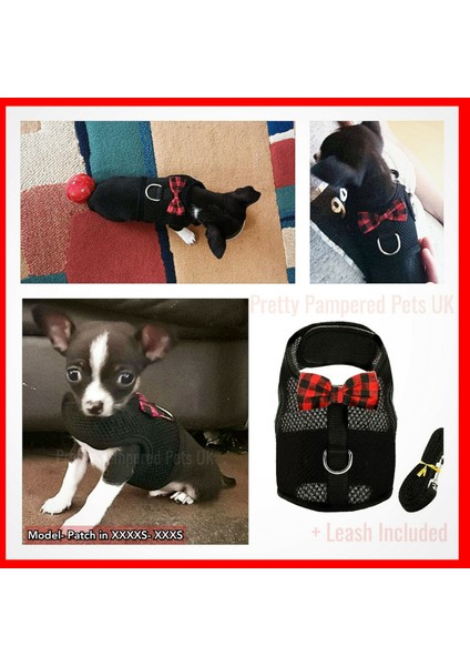 Koyu Gri Tarzı Xs Beden Xxxs Xxs Xs Yavru Köpek Teacuuahua Koşum Kurşun Örgü Yelek Tiny Kitty Kedi Yorkie Malta Tavşan Yavru Kedi Koşum Yelek (Yurt Dışından) modelleri