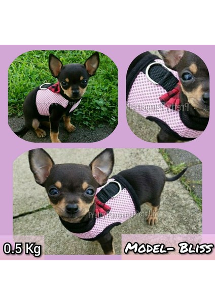 Koyu Gri Tarzı Xs Beden Xxxs Xxs Xs Yavru Köpek Teacuuahua Koşum Kurşun Örgü Yelek Tiny Kitty Kedi Yorkie Malta Tavşan Yavru Kedi Koşum Yelek (Yurt Dışından) fırsatları