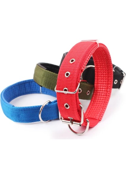 Temel Yaka 4 Tarzı Xl Beden Pet Yansıtıcı Güvenlik Tasmaları Küçük Orta Büyük Köpekler Için Naylon Köpek Tasması Teddy Keji Pitbull Bulldog Beagle (Yurt Dışından)