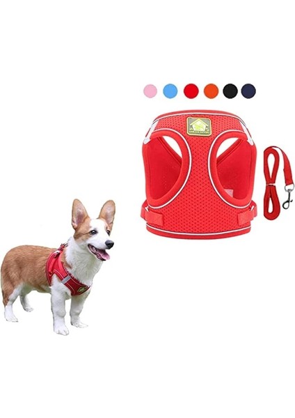 Turuncu Tarzı Xs Beden Küçük Köpek Evcil Hayvan Koşum ve Tasma Seti Örgü Kedi Koşum Pet Ayarlanabilir Yansıtıcı Yelek Yürüyüş Kurşun Köpek Tasma Köpek Koşum Için (Yurt Dışından)