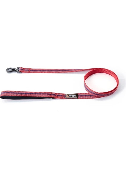 Gül Kırmızı Ip Tarzı S Beden Ufbemo LED Köpek Yaka Yansıtıcı Şerit Tasma Kemeri ile Işıklandırın Ayarlanabilir Aydınlık Güvenli Pet Aksesuar Ürünü Dachshund (Yurt Dışından)
