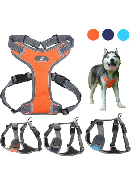 Gök Mavisi Tarzı S Beden Yansıtıcı Naylon Köpek Koşum Yelek Hizmetleri Orta Büyük Köpek Yelek Köpek Pet Aksesuarları Için Yastıklı Ayarlanabilir Güvenlik Araç Kurşun (Yurt Dışından) fiyatları