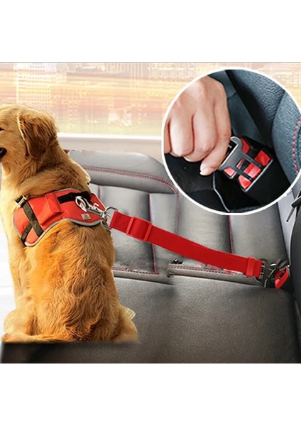 Mavi Stil Köpek Tasması ve Emniyet Kemeri Yeni Araç Araba Emniyet Kemeri Kurşun Klipsi Kedi Köpek Güvenliği Köpek Malzemeleri Emniyet Kolu Evcil Hayvan Aksesuarları Köpek Zinciri (Yurt Dışından)