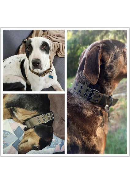 Siyah Stil Xl- Boyun 55-63CM Benepaw Dayanıklı Taktik Köpek Tasması Ayarlanabilir Ağır Hizmet Askeri Eğitim Pet Yaka Orta Büyük Köpekler Sihirli Etiket Kımlık Paneli (Yurt Dışından) indirimleri