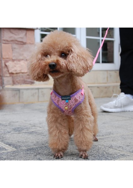 Mor Koşum Stili M Beden Köpek Kedi Dantel Koşum Yelek Pet Ürünleri Çan ile Ayarlanabilir Yürüyüş Kurşun Tasma Köpek Küçük Orta Köpek Için Polyester Örgü Koşum (Yurt Dışından) fiyatları