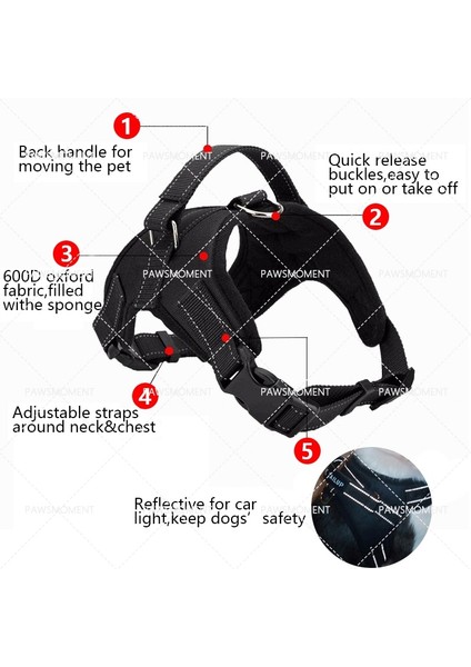 Sadece Bir Beden Stili Tasma S Beden Naylon Köpek Ayarlanabilir Koşum Yelek Fransız Bulldog Koşum Yavrusu Küçük Orta Köpekler Aksesuarları Kediler Koşum Chihuahua Yürüyüş Için (Yurt Dışından) modelleri