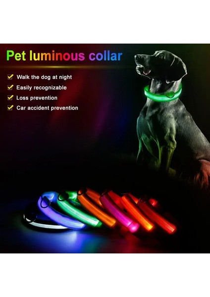Kırmızı Stil Xs Beden Ayarlanabilir Naylon Köpek Tasması Anti-Lostavoid Araba Kazası Kedi Tasması LED Işık Up Köpek Tasma Yaka Kedi Aksesuarları (Yurt Dışından) fırsatları