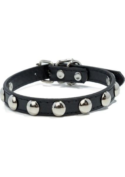 Mavi Stil M Beden Pet Köpek Yaka Moda Renkli Deri Köpek Yaka Küçük Köpekler Kediler Için Çivili Yaka Yenidoğan Fransız Bulldog Kımlık Boyun Askısı (Yurt Dışından)