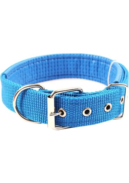 Mavi Stil S Beden Katı Köpek Tasmaları Naylon Köpek Tasması Küçük Orta Büyük Köpekler Için Teddy Bulldog Beagle Ayarlanabilir Naylon Kayış Köpek Yaka Pet Boyun (Yurt Dışından)