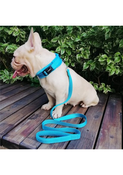 Gül Kırmızısı Tasma Stili M Beden Köpek Tasmaları Ayarlanabilir Yumuşak Yastıklı Pazen Küçük Orta ve Büyük Köpekler Için Yansıtıcı Pet Yaka Eğitim Yürüyüşü (Yurt Dışından) indirimleri