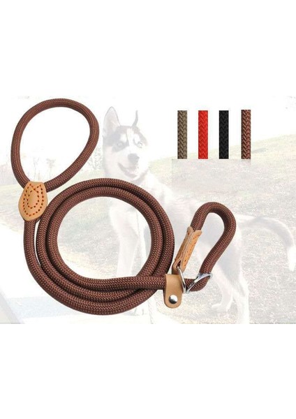 Bl Tarzı Köpek Tasma Kayma Halat Kurşun Tasma Ağır Hizmet Yansıtıcı Örgülü Halat Ayarlanabilir Döngü Yaka Orta Büyük Köpekler Için Eğitim Tasmalar (Yurt Dışından) fiyatları