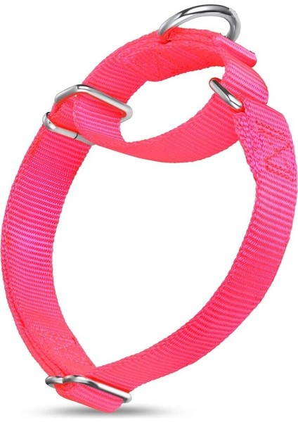 Mavi Stil M - Boyun 40-50CM Küçük Orta ve Büyük Köpekler Için Martingale Naylon Köpek Tasması (Yurt Dışından) indirimleri