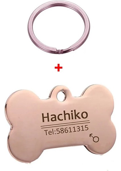 D Stili 40X21MM Yaratıcı Dıy Kişiselleştirilmiş Pet Yaka Kımlık Etiketi Kazınmış Pet Adı Kedi Yavrusu Köpek Künyesi Kolye Anahtarlık Kemik Perros Accesorios (Yurt Dışından)