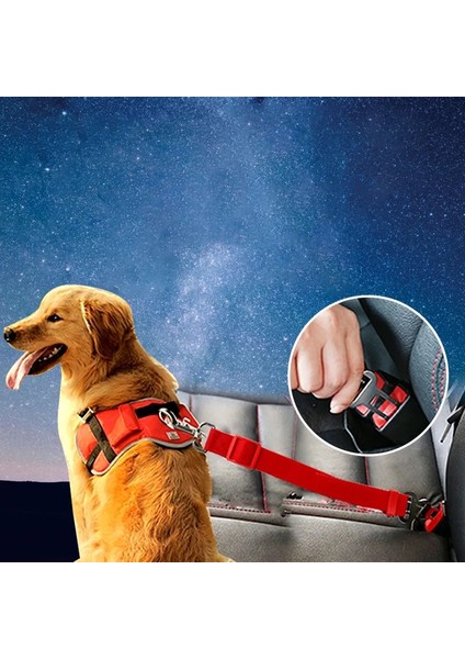 Kırmızı Stil M Beden Ayarlanabilir Köpek Araba Emniyet Emniyet Kemeri Araç Pet Emniyet Kemeri Koşum Köpek Kurşun Klip Pet Malzemeleri Emniyet Kolu Çekiş Yaka Perro (Yurt Dışından) fırsatları