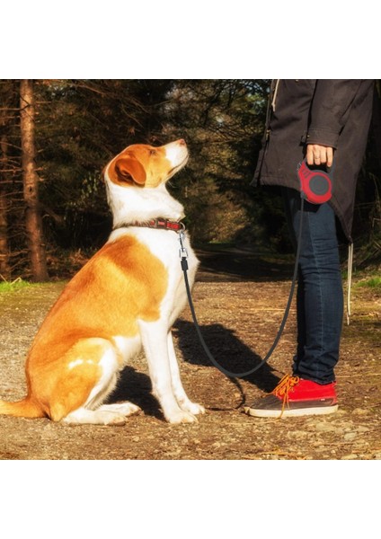 Mavi Stil 3 Milyon 3 mm Dayanıklı Geri Çekilebilir Köpek Tasma Otomatik Geri Çekilebilir Naylon Köpek Tasma Küçük ve Orta Pet Araçları Için Köpek ve Kedi Tasma (Yurt Dışından) fırsatları