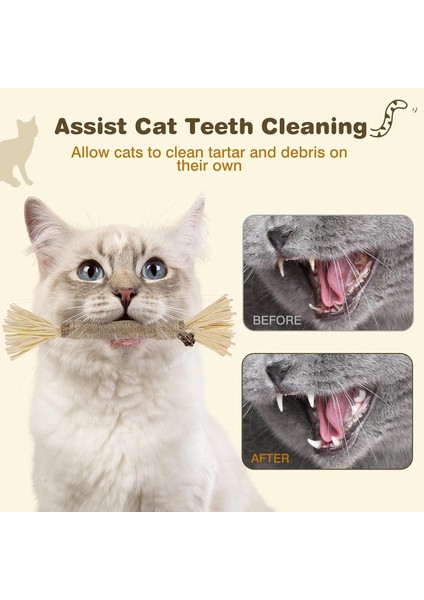 Kediler Için 4'lü Silvervine Çubukları, Kedi Çiğneme Oyuncağı, Diş Temizleme Için Kedi Çiğneme Çubukları, Ev Kedileri Için Kitty Oyuncakları (Yurt Dışından) fırsatları