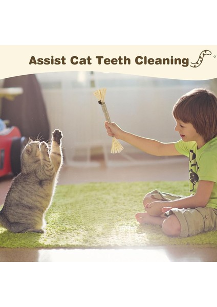 Kediler Için 4'lü Silvervine Çubukları, Kedi Çiğneme Oyuncağı, Diş Temizleme Için Kedi Çiğneme Çubukları, Ev Kedileri Için Kitty Oyuncakları (Yurt Dışından) indirimleri