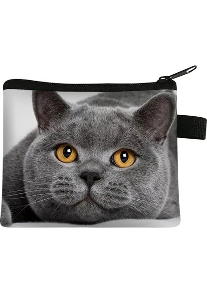 019 Bozuk Para Cüzdanı Yeni Hayvan Kedi Çocuk Cüzdan Öğrenci Taşınabilir Kart Çantası Sikke Anahtar Saklama Çantası Polyester El Çantası Mini Çanta Kesesi (Yurt Dışından) modelleri