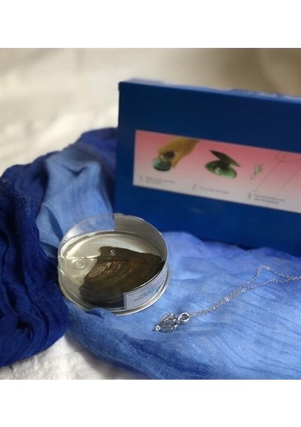 Kadınlara Özel Istiridye Içinde Gerçek Inci Kolye modelleri
