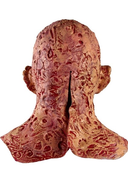 Douler Halloween Cadılar Bayramı Kostümü Parti Kanlı Zombi Maskesi (Yurt Dışından)