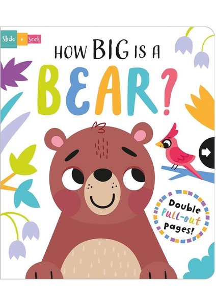 How Big Is A Bear