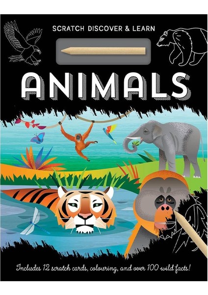Animals Scratch Discover And Learn