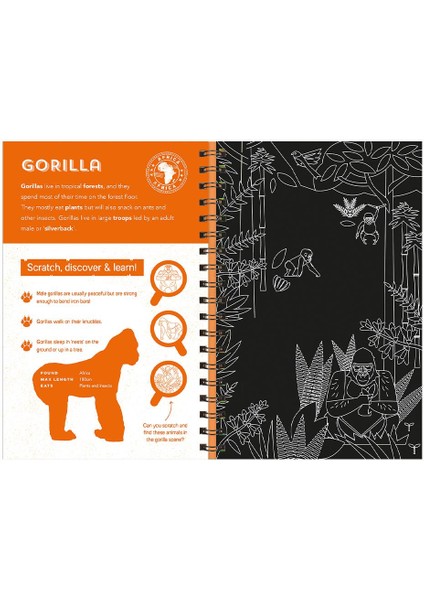 Animals Scratch Discover And Learn