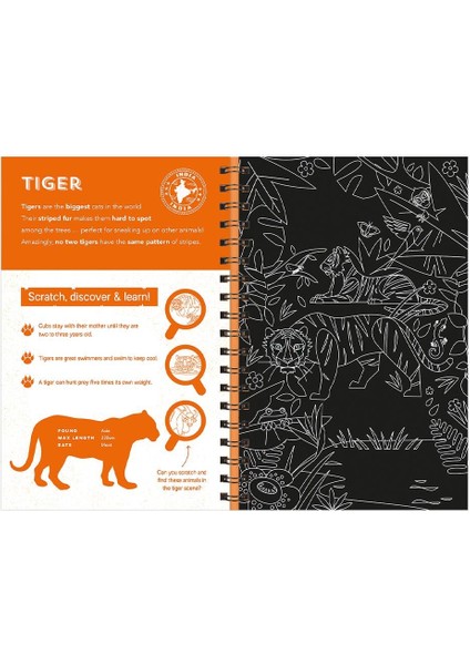 Animals Scratch Discover And Learn